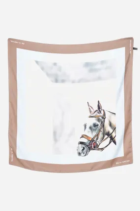 Silk Multicolor Scarf